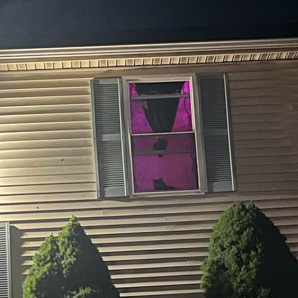 Meet your Posher, Michaela ft. Manny - Picture 8 of 11